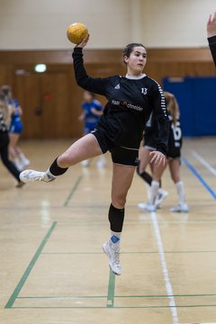 Bild 195 - wBJ TSV Ellerau - HSG Stoertal Hummeln : Ergebnis: 26:19